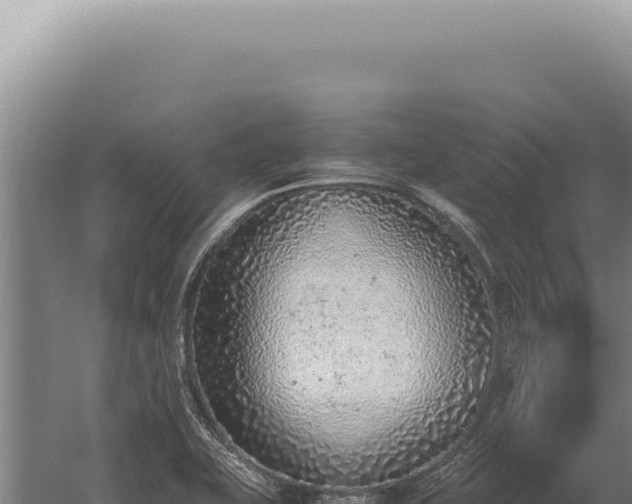 X0000059811415200510281653