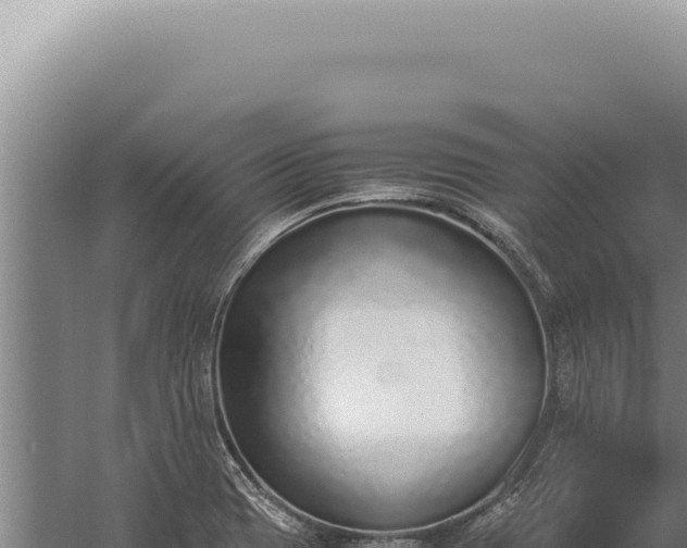 X0000059811417200510281653