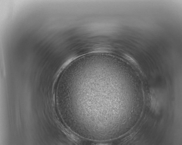 X0000059811419200510281653