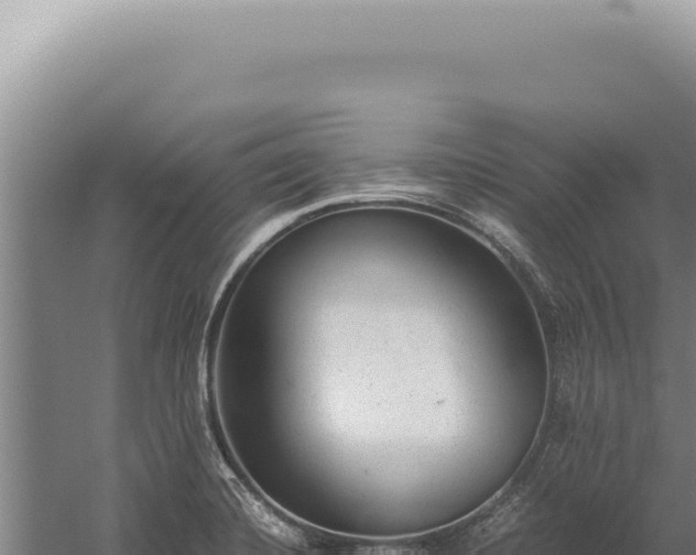 X0000059811420200510281653