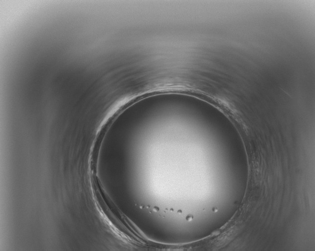 X0000059811422200510281653