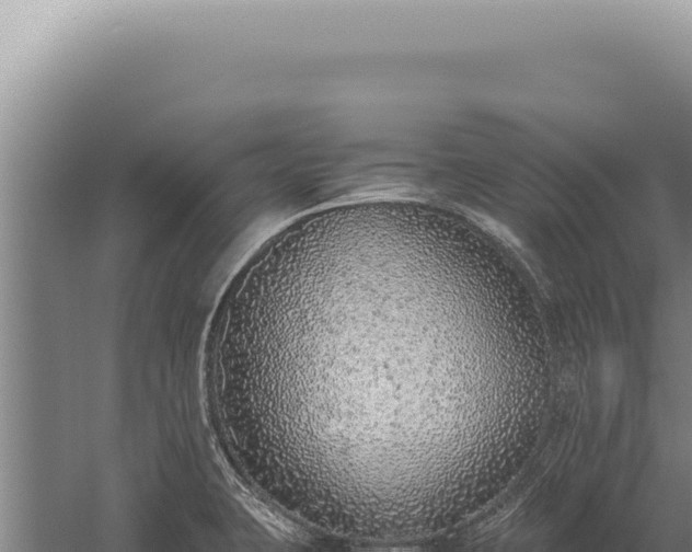 X0000059811423200510281653