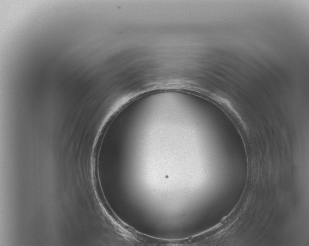 X0000059811424200510281653