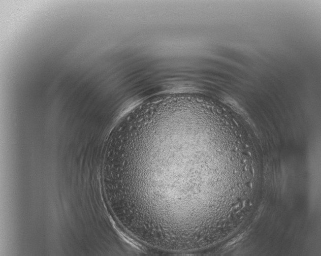 X0000059811425200510281653