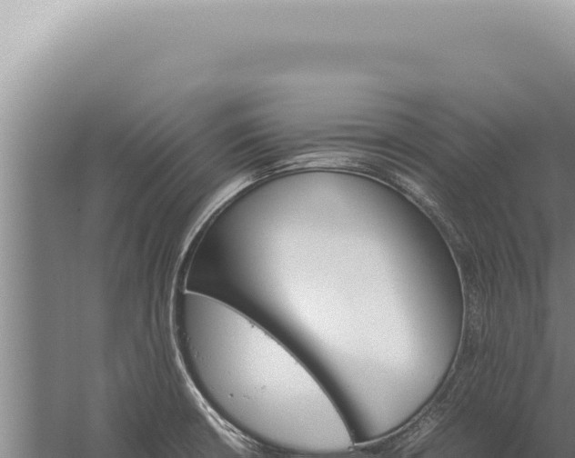 X0000059811426200510281653