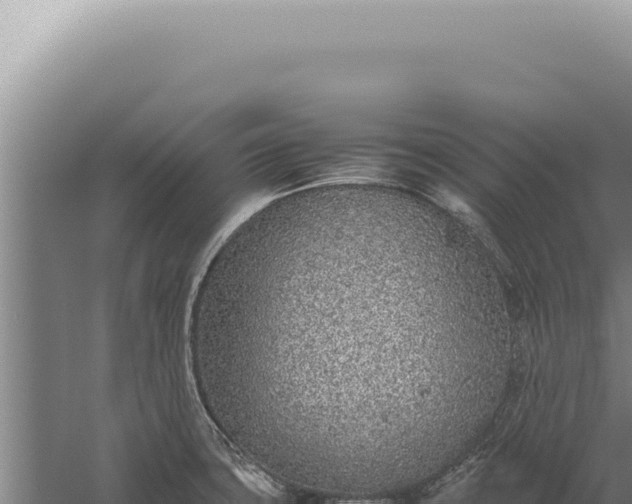 X0000059811427200510281653