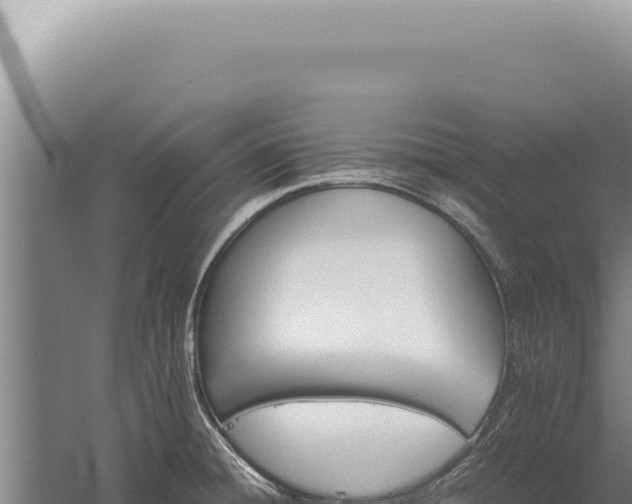 X0000059811428200510281653