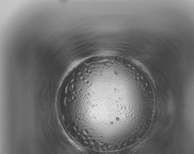 X0000059811429200510281653