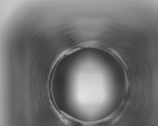 X0000059811434200510281653