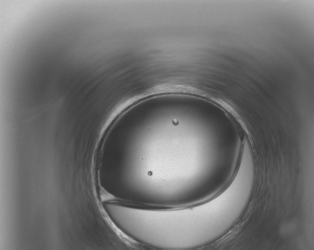 X0000059811438200510281653