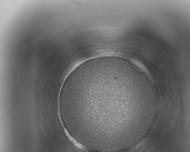 X0000059811439200510281653