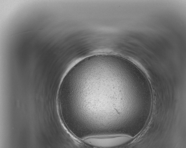 X0000059811440200510281653