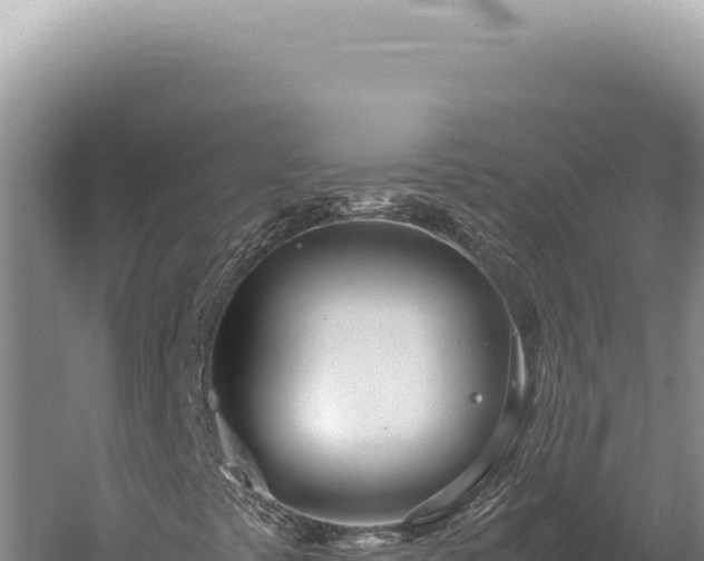 X0000059811441200510281653