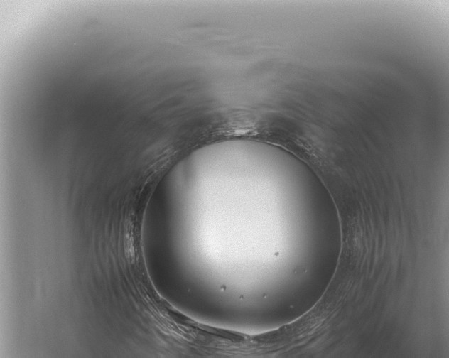 X0000059811442200510281653