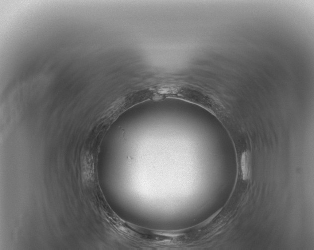 X0000059811443200510281653