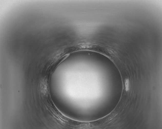 X0000059811444200510281653