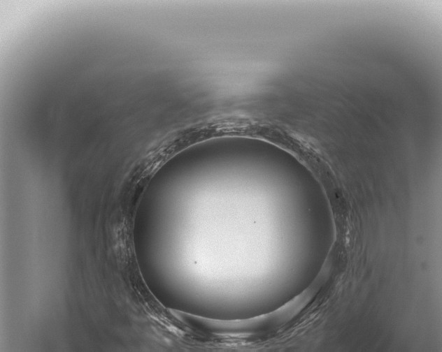 X0000059811445200510281653