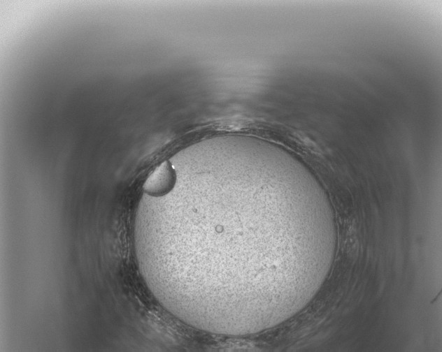 X0000059811446200510281653