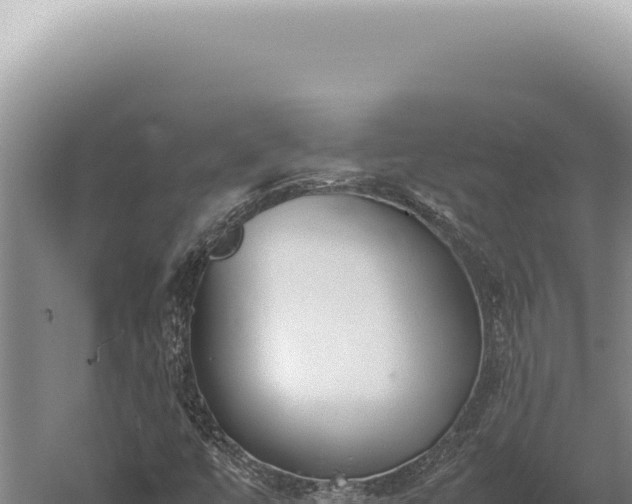 X0000059811447200510281653