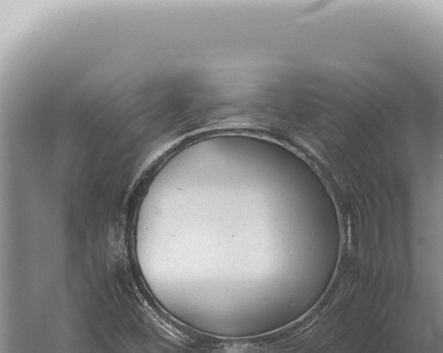 X0000059811452200510281652