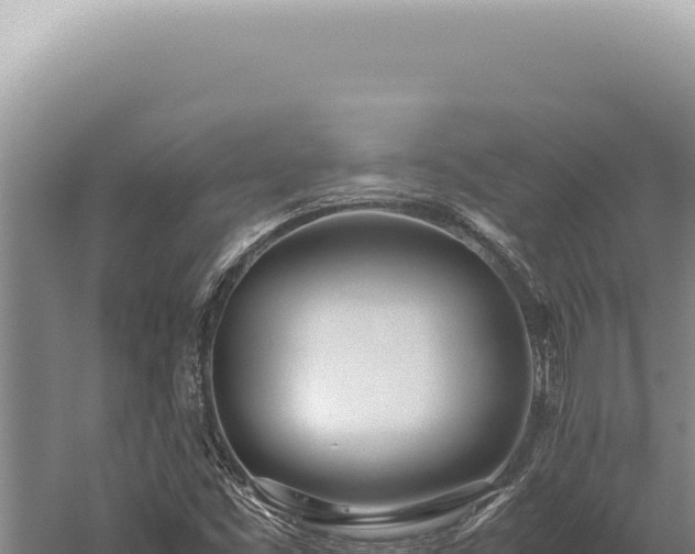 X0000059811453200510281652