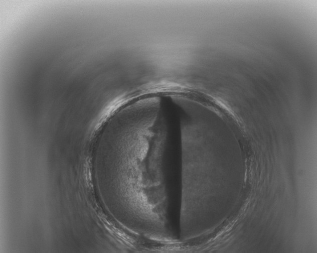 X0000059811455200510281652