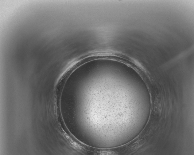 X0000059811456200510281652