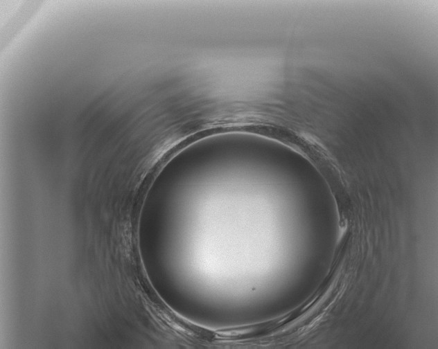 X0000059811457200510281652