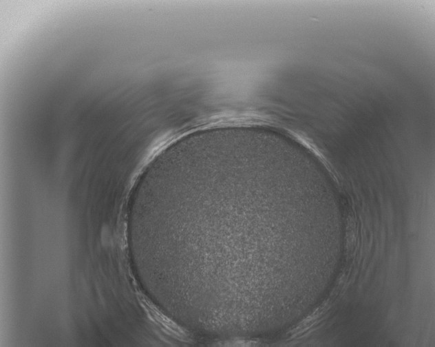 X0000059811459200510281652