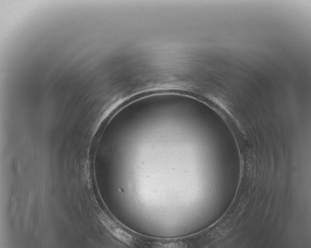 X0000059811460200510281652