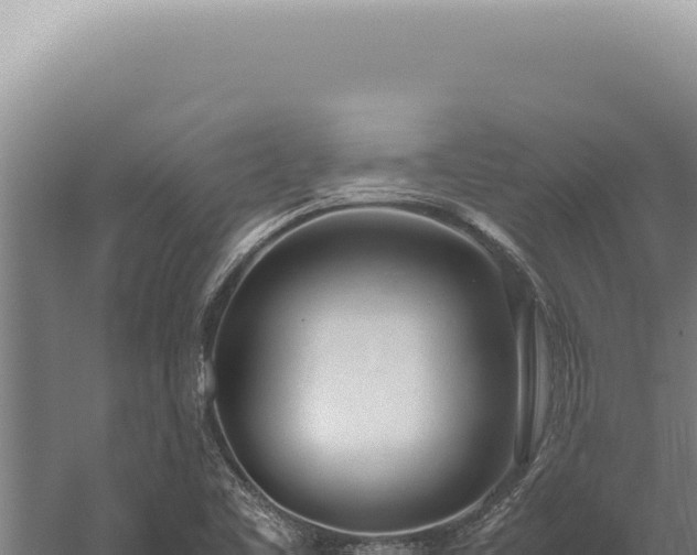 X0000059811461200510281652