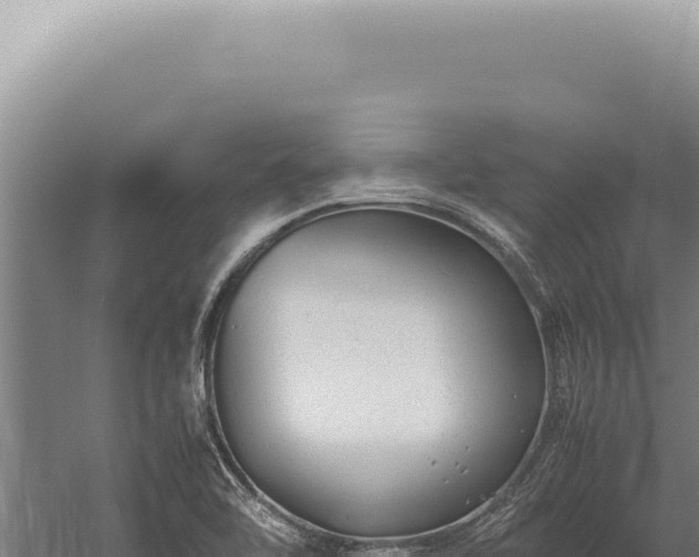 X0000059811462200510281652