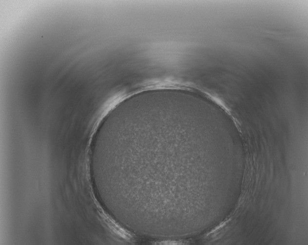 X0000059811463200510281652