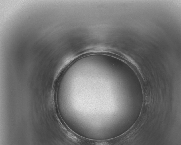 X0000059811464200510281652