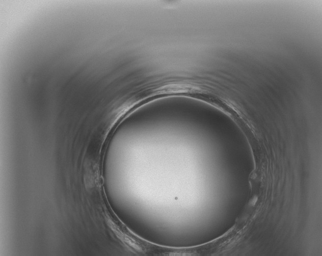 X0000059811465200510281652