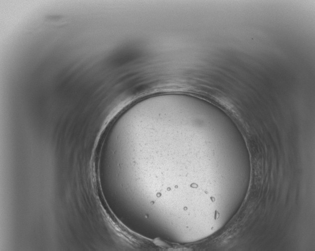 X0000059811466200510281652