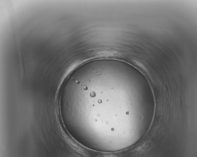 X0000059811467200510281652