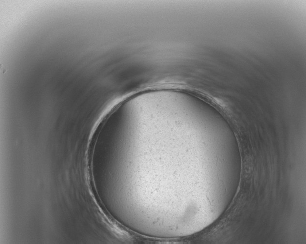 X0000059811470200510281652