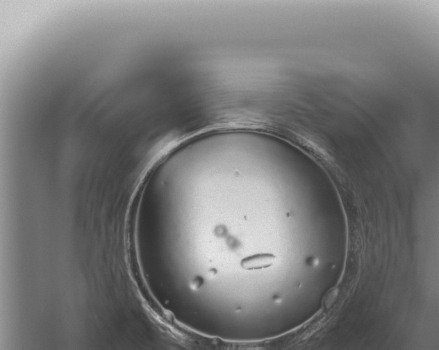 X0000059811471200510281652