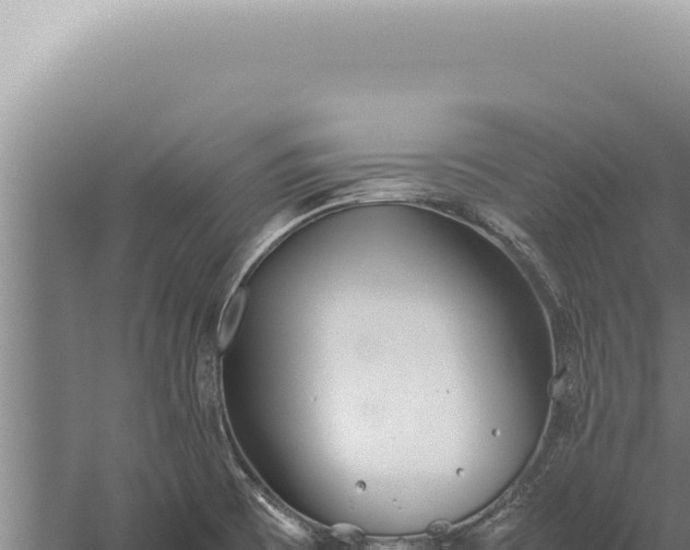 X0000059811473200510281652