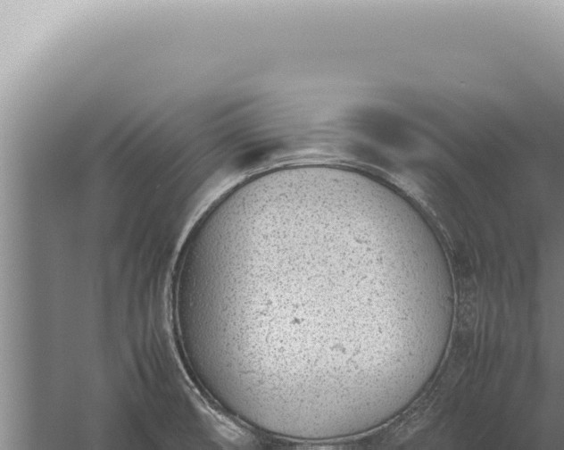 X0000059811474200510281652