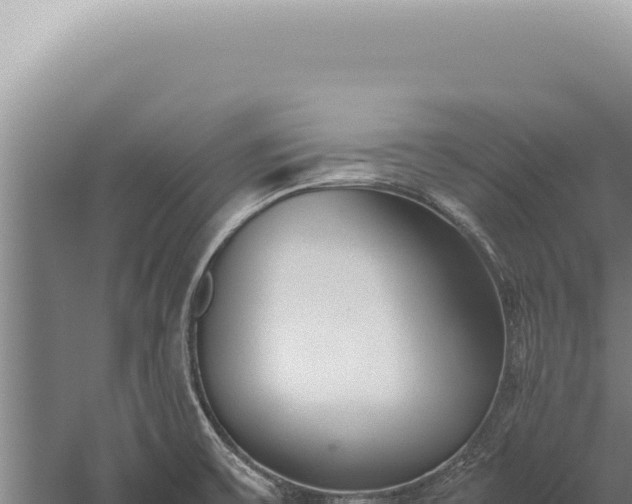 X0000059811475200510281652