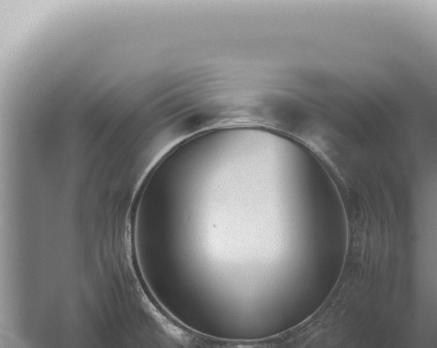 X0000059811476200510281652