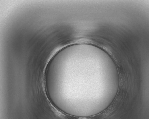 X0000059811478200510281652