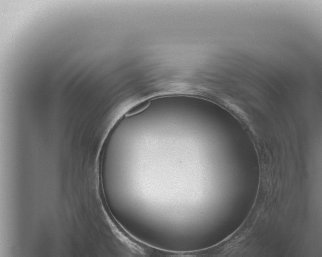 X0000059811479200510281652