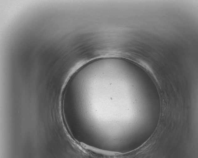 X0000059811480200510281652