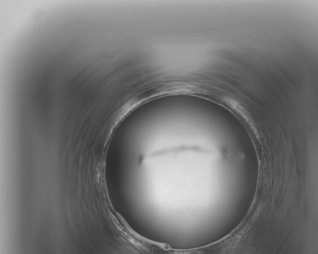 X0000059811481200510281652