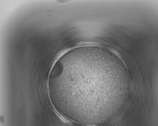 X0000059811482200510281652