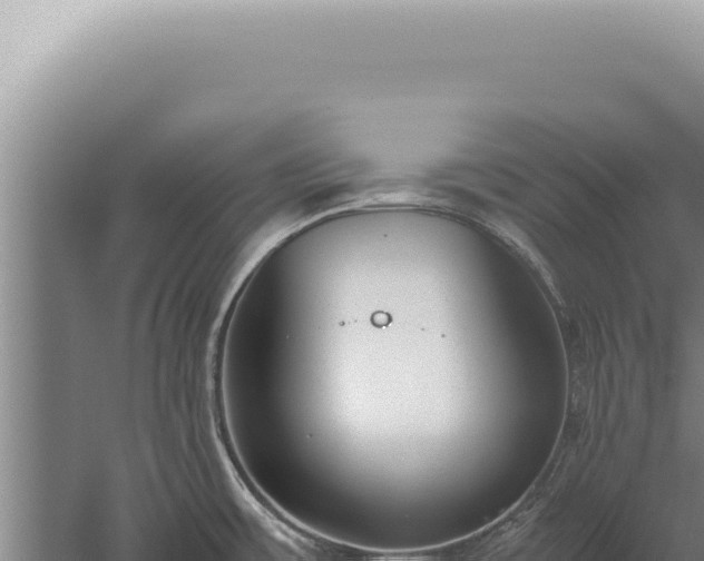 X0000059811483200510281652