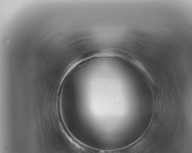 X0000059811484200510281652